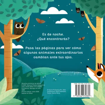 Animales mágicos. La noche