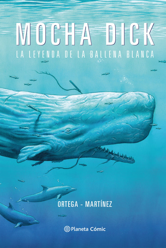 Mocha Dick: La leyenda de la ballena blanca